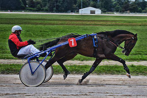 PRIX DE SENLIS PMU 14-02-2022