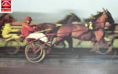 PRIX DE BRACIEUX QUINTE 21-02-2022