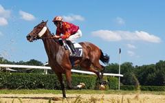 PRIX SAGARO QUINTE 14-03-2022