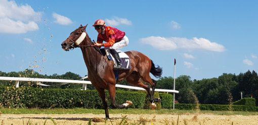 PRIX SAGARO QUINTE 14-03-2022