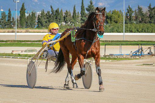 PRIX DE LA CHAISE DIEU 02-05-2022