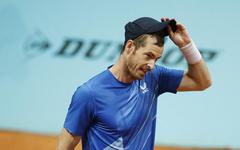 Tennis : Murray malade et forfait, Djokovic file en quart à Madrid