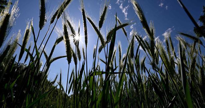 La météo du vendredi 20 mai : climat aride dans le Sud et Centre-Est, orages dans le Nord-Ouest