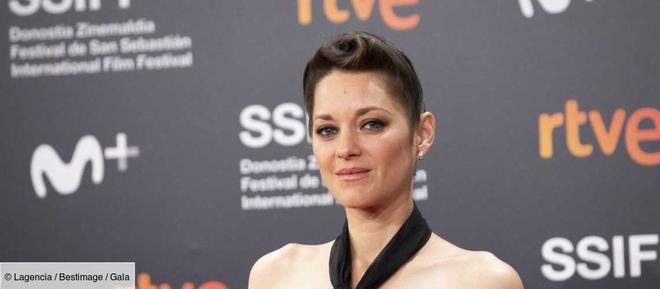 Marion Cotillard liée à Céline Dion : cette formation qu’elles ont suivie toutes les deux