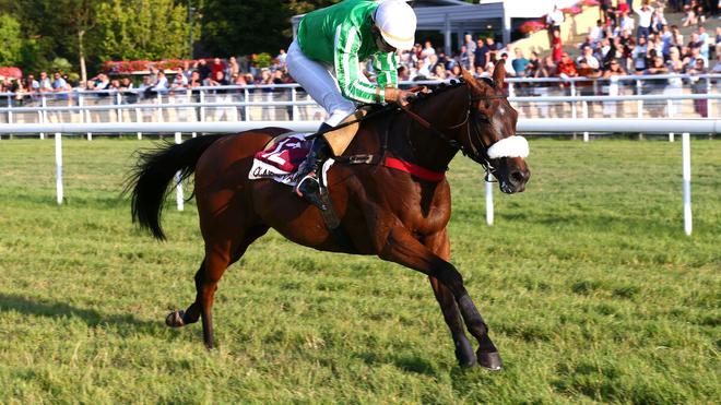 PMU - Arrivée du quinté du jeudi 28 juillet à Clairefontaine : la plus belle de Shenko Magic