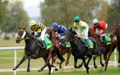 Incendies en Gironde : le Quinté prévu à La Teste lundi sera couru à Tarbes, le tout premier pour l'hippodrome de Laloubère