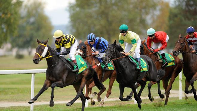 Incendies en Gironde : le Quinté prévu à La Teste lundi sera couru à Tarbes, le tout premier pour l'hippodrome de Laloubère