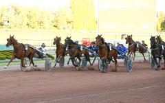 PMU - Arrivée du quinté du vendredi 5 août à Cabourg : Eole de Rio fait des heureux