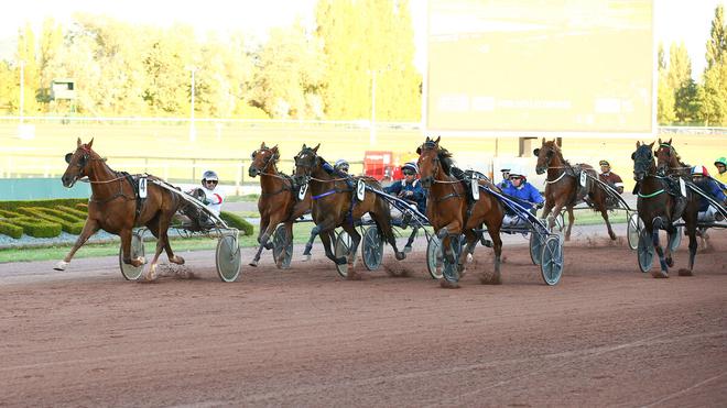 PMU - Arrivée du quinté du vendredi 5 août à Cabourg : Eole de Rio fait des heureux