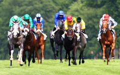 Quinté. Le Prix de la Ville de Tourgeville à Clairefontaine ce lundi 8 Août 2022.