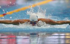 Natation : Marie Wattel, le bel envol d'un papillon