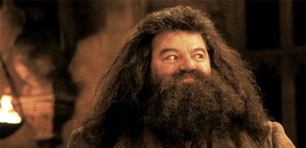 Robbie Coltrane, qui incarne Hagrid dans Harry Potter, est mort