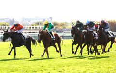 PMU - Quinté du jeudi 27 octobre à Longchamp : Moon Wolf, le plus costaud