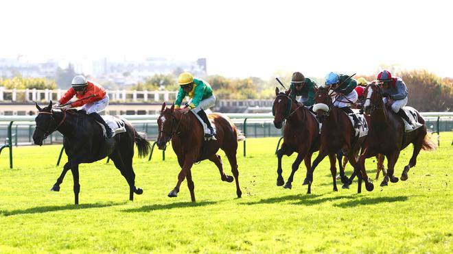 PMU - Quinté du jeudi 27 octobre à Longchamp : Moon Wolf, le plus costaud