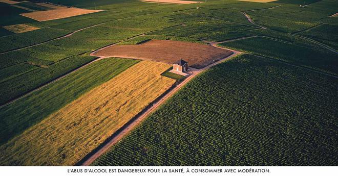 La nature, source inépuisable d'inspiration pour Moët & Chandon