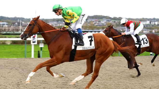 PMU - Arrivée du quinté du samedi 5 novembre à Deauville : Lettyt Fight, le roi du sable