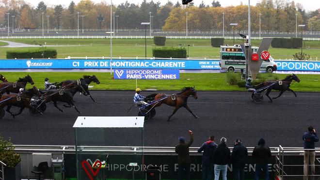 PMU - Arrivée du quinté du lundi 21 novembre à Paris-Vincennes : Fine Colline retrouve les sommets