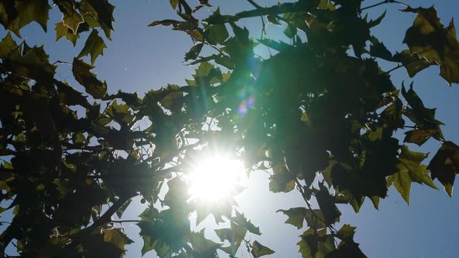 Météo : le mois d’octobre est le plus chaud jamais mesuré en France