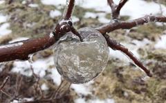 Phénomène météo extraordinaire : les pommes de glace