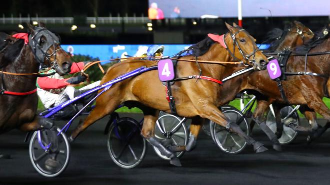 PMU - Arrivée du quinté du vendredi 3 février à Vincennes : Kimberly’s Wish, le meilleur finish