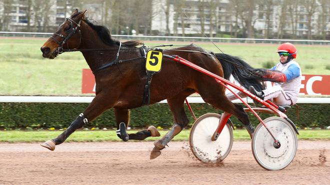 PMU - Arrivée du quinté du lundi 6 mars à Caen : Hélios Somolli survole les débats