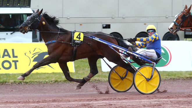 PMU - Arrivée du quinté du mercredi 8 mars à Amiens : Howdy Partner et Franck Nivard ouvrent le bal du GNT