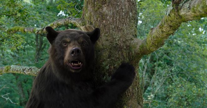 Notre critique de Crazy Bear: grizzli sur la chnouf