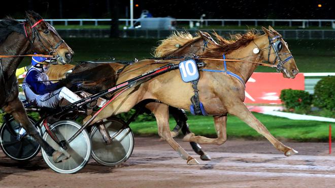 PMU - Arrivée du quinté du vendredi 17 mars à Enghien : Galon de Vire offre un premier succès à Alexis Grimault, à ce niveau