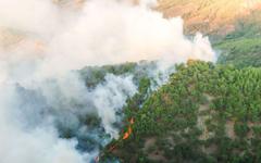 Plus de 100 incendies en cours au Canada : du jamais vu aussi tôt dans l'année !