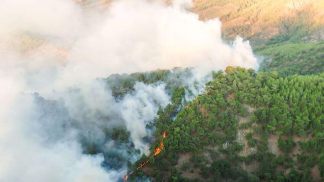 Plus de 100 incendies en cours au Canada : du jamais vu aussi tôt dans l'année !