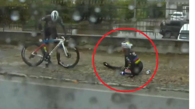 Giro : Evenepoel chute à cause d'un chien... mais reprend la course