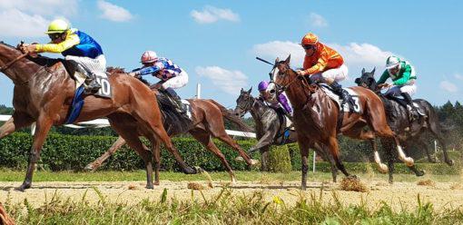 PRIX DES COLLECTIVITES LOCALES QUINTE 30-07-2023