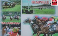 PRIX DES GRENIERS A SEL PRONO QUINTE PMU 12-08-2023