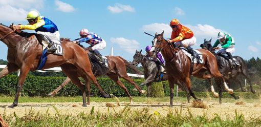 PRIX DE JUMIEGES PRONOSTIC QUINTE PMU 19-08-2023