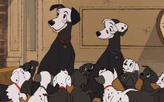 Les 101 dalmatiens : Walt Disney détestait le film, il n'a failli jamais sortir au cinéma