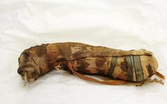 En Alsace, cinq momies égyptiennes d'animaux vieilles de 2.000 à 3.000 ans révèlent leurs secrets au scanner