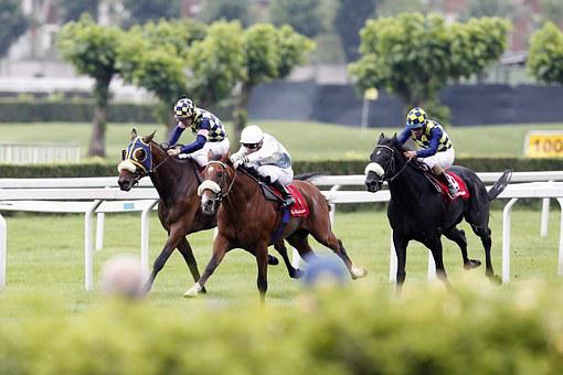 PRIX LA PLACE VENDOME PRONOSTIC QUINTE 09-06-2024