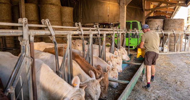 Le soutien européen aux agriculteurs français lesté par le poids des taxes