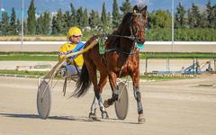 PRIX JEAN-MICHEL BAZIRE PRONOSTIC PMU 02-07-2024