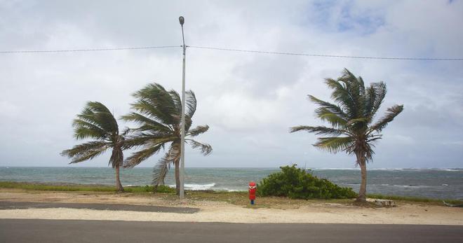 Guadeloupe : l’île en vigilance rouge à l'approche de la tempête tropicale Ernesto