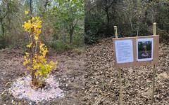 «Ça a été un choc» : un arbre funéraire volé en Loire-Atlantique, les proches du défunt dans l’incompréhension