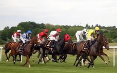 PRIX DE LA GASCOGNE PRONOSTIC QUINTE PMU 06-03-2025