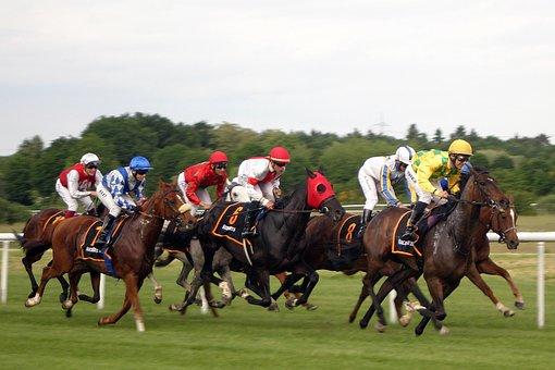 PRIX DE LA GASCOGNE PRONOSTIC QUINTE PMU 06-03-2025