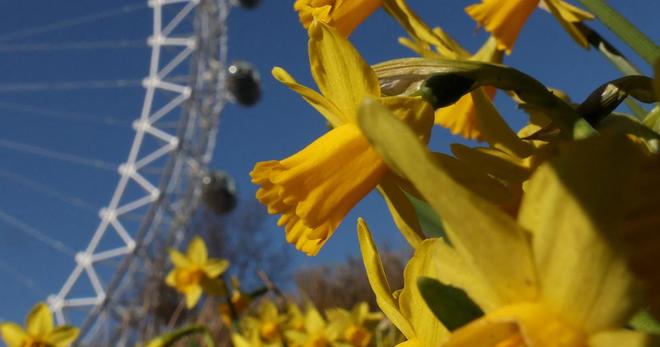 Météo du jeudi 20 mars : le printemps est à l’heure, sauf en Occitanie