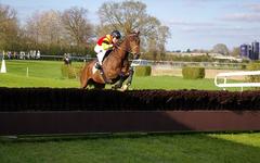 PRONOSTIC PRIX GASTON BRANERE QUINTE+ 15-04-2025