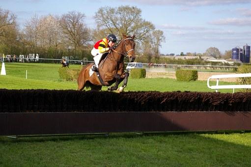 PRONOSTIC PRIX GASTON BRANERE QUINTE+ 15-04-2025