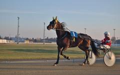 PRONOSTIC QUINTE PRIX COURSES DE ROSTRENEN 2025