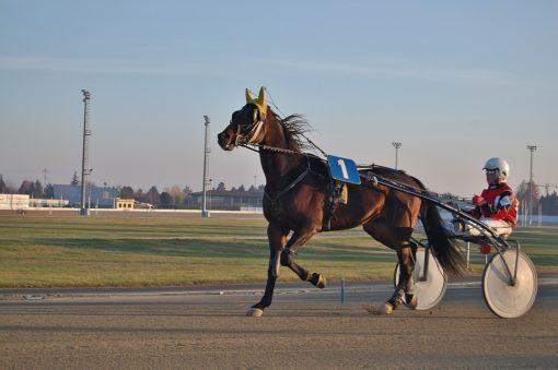 PRONOSTIC QUINTE PRIX COURSES DE ROSTRENEN 2025