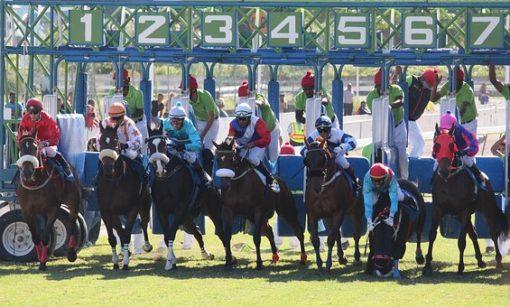 QUINTÉ PRIX DU BEL AIR PRONOSTIC PMU 15-05-2025