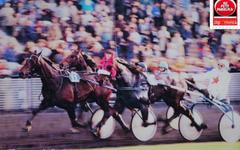PRONOSTIC QUINTÉ PRIX DU PERREUX 14-05-2025